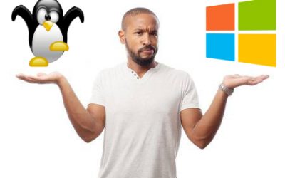 Is Linux or Microsoft Better for Locally Hosted Sites in 2020?