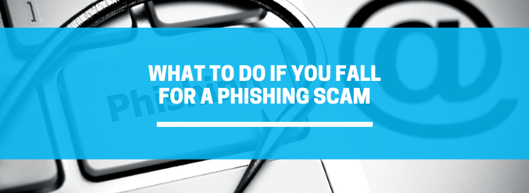 What should you do if you fall for a phishing scam? Well you should call us or message your IT provider ASAP!