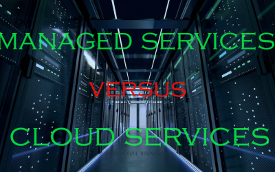 Should You Invest in Cloud Services or Managed Services? Which Will Help Your Business Become Number 1?