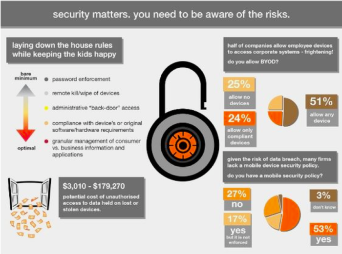 As with any outside device that you bring into your network there are risks. Lucky for you BYOD policies can help lessen those risks, so your employees can use their devices.